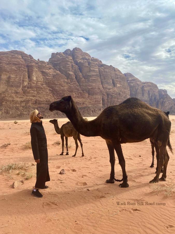 Wadi Rum Silk Road Camp Екстериор снимка