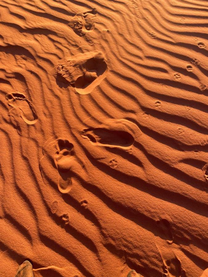 Wadi Rum Silk Road Camp Екстериор снимка