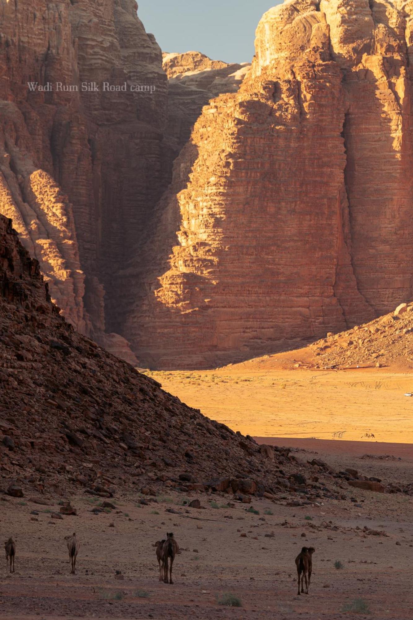 Wadi Rum Silk Road Camp Екстериор снимка