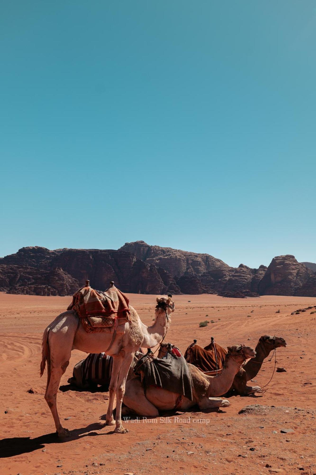 Wadi Rum Silk Road Camp Екстериор снимка